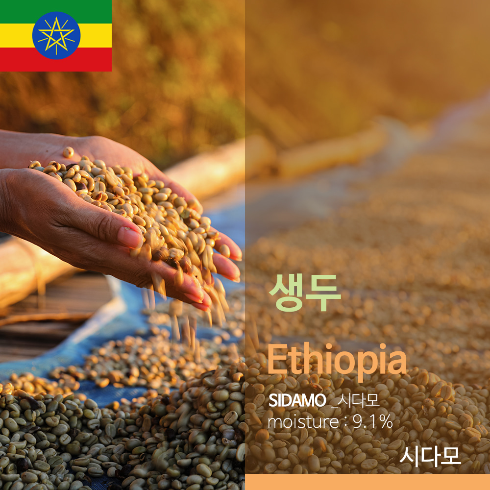 에티오피아 시다모 (생두) G4 1kg